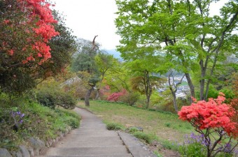 小高い丘に広がる公園