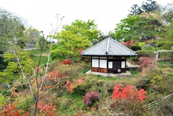 つつじが咲き広がる宮崎公園