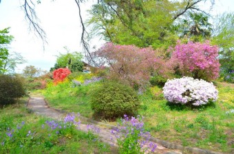 色鮮やかに花々が咲く宮崎公園