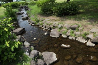 緑地内を流れる小川