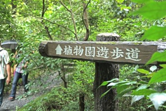 湿生植物園