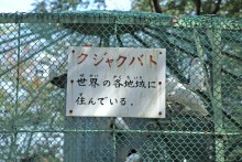 動物舎