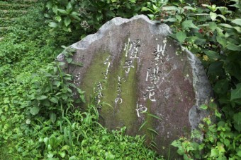 池わき松尾芭蕉の俳句碑