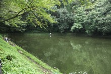 小野池（釣り池）