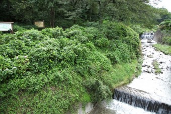 公園わきを流れる平沢川