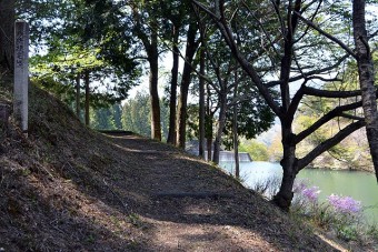 園内の遊歩道