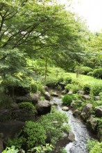 調整池から庭園に流れる