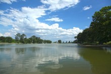 公園中央にある「五料沼」