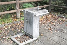 水飲み場