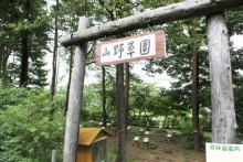 山野草園入口