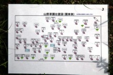 山野草園案内図