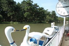 白鳥ペダル式ボート