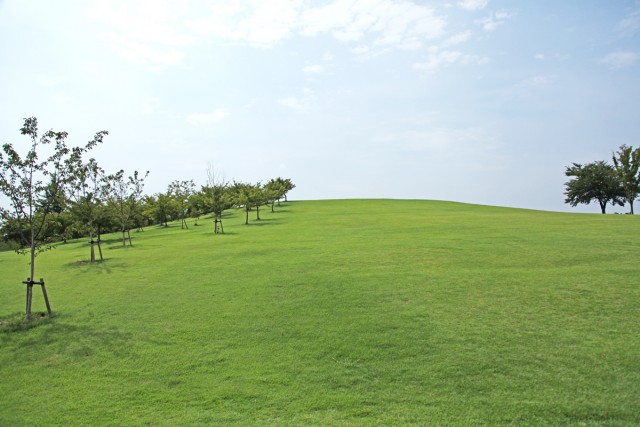 いせさき市民のもり公園 伊勢崎市山王町の総合公園