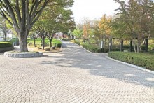 公園内北側歩道