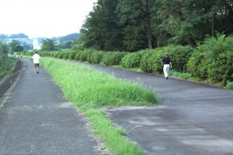 散歩をする人たち