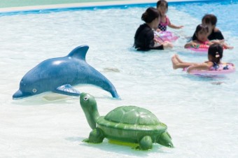 水深が浅いから小さな子と一緒でも安心