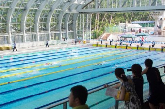 50mプールでの大会開催風景