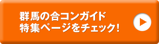 群馬の合コンガイド