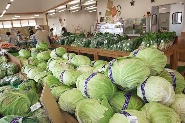 赤城山の麓で育った新鮮な採れたて野菜が並ぶ