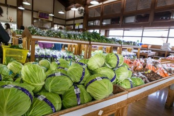 直売所には富士見地域の農産物だけが並ぶ