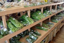 旬の新鮮野菜など