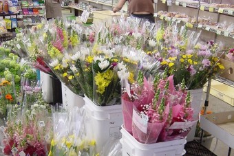 さんぽ道で販売されている生花