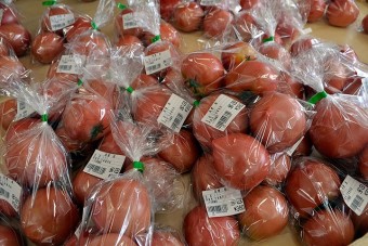 地元農家の方々がお届けする新鮮野菜