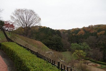 染料植物の道