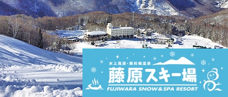 水上高原　藤原スキー場 1日券　大人+子供 水上高原 藤原スキー場 1日券 大人+子供 群馬県みなかみ町の