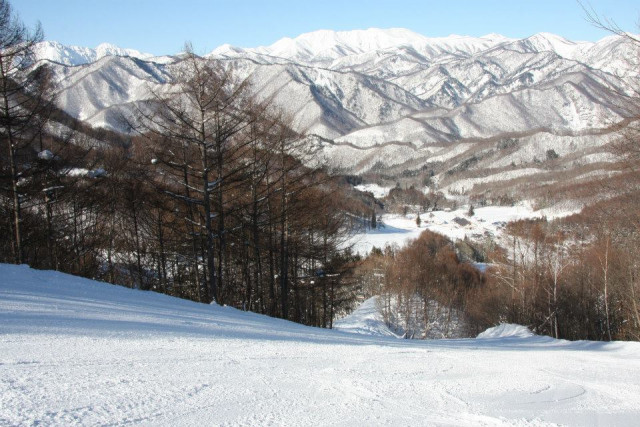 樹 スキー 台 天気 場 山 宝