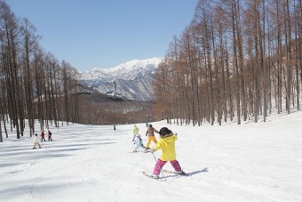 緩やかな斜面でゲレンデデビューのお子様でも安心