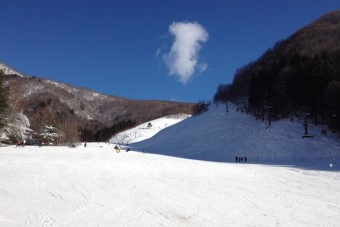 ロッジホワイトバレーから見渡せるゲレンデ