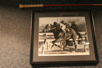 昭和の名馬グリーングラスの写真。