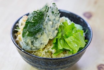 温かいたぬきうどん