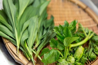 季節ごとに採れたて地元野菜の天ぷらが揚がる