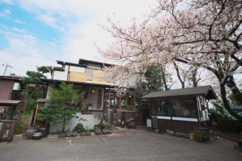 春には桜が満開に