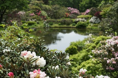 春爛漫 花々の共演を存分に味わう