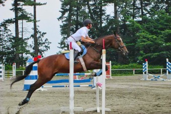 障害馬術競技大会の様子