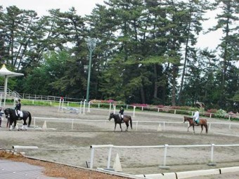 乗馬をする場所「馬場」