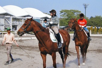 レベルに合わせた乗馬レッスンは小学3年生からできる