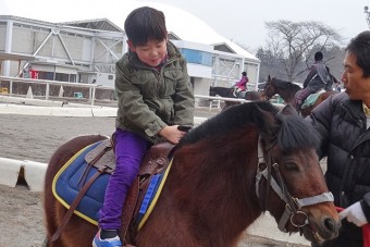 3歳から小学生まではポニーの引き馬乗馬体験ができる