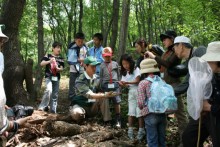 雑木林での観察会