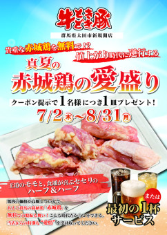 キャンペーン案内