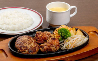 合挽ハンバーグ＆チキン唐揚げ
