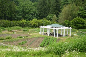 市民農園はどうでしょうか