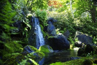 心落ち着かせる庭園。館内には3千本のしゃくなげが植えられる。