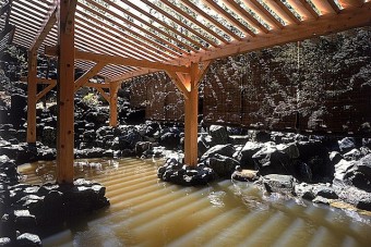 ナトリウム硫酸塩性の薄緑色のにごり湯