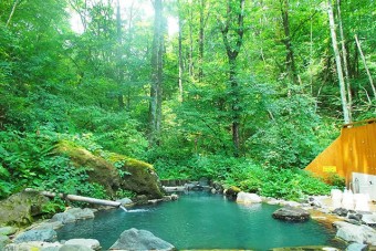 時にはカモシカが温泉を飲みに来ることもあるという自然環境