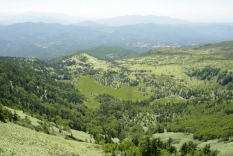 高山植物のメッカ・高層湿原が「芳ヶ平」