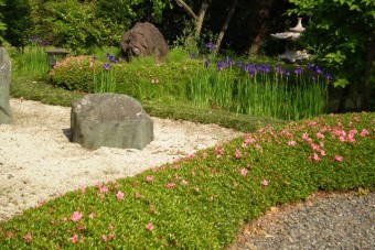 庭園が気持ちを和ませる